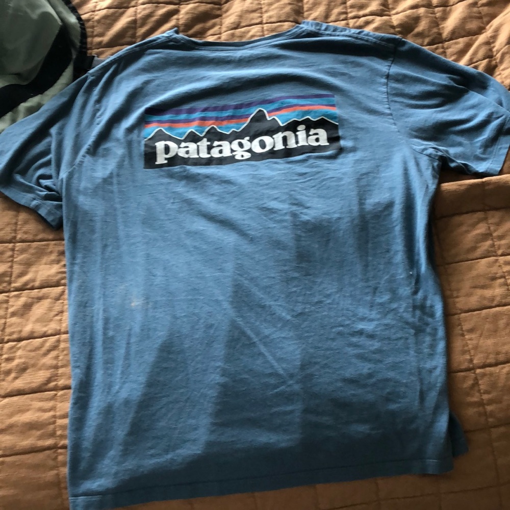 Mens Blue Patagonia Tee
